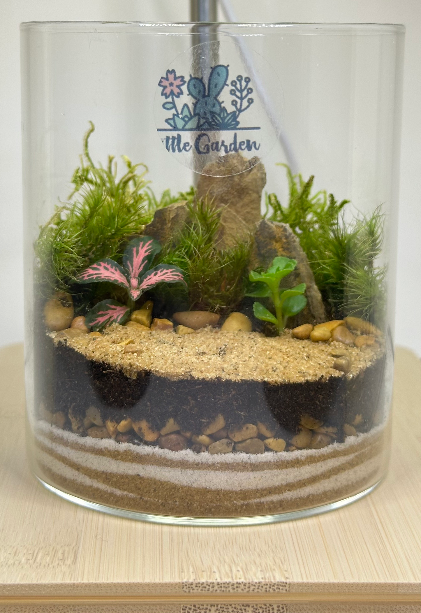 Terrarium - Medium
