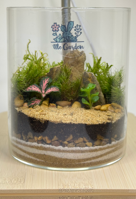 Terrarium - Medium